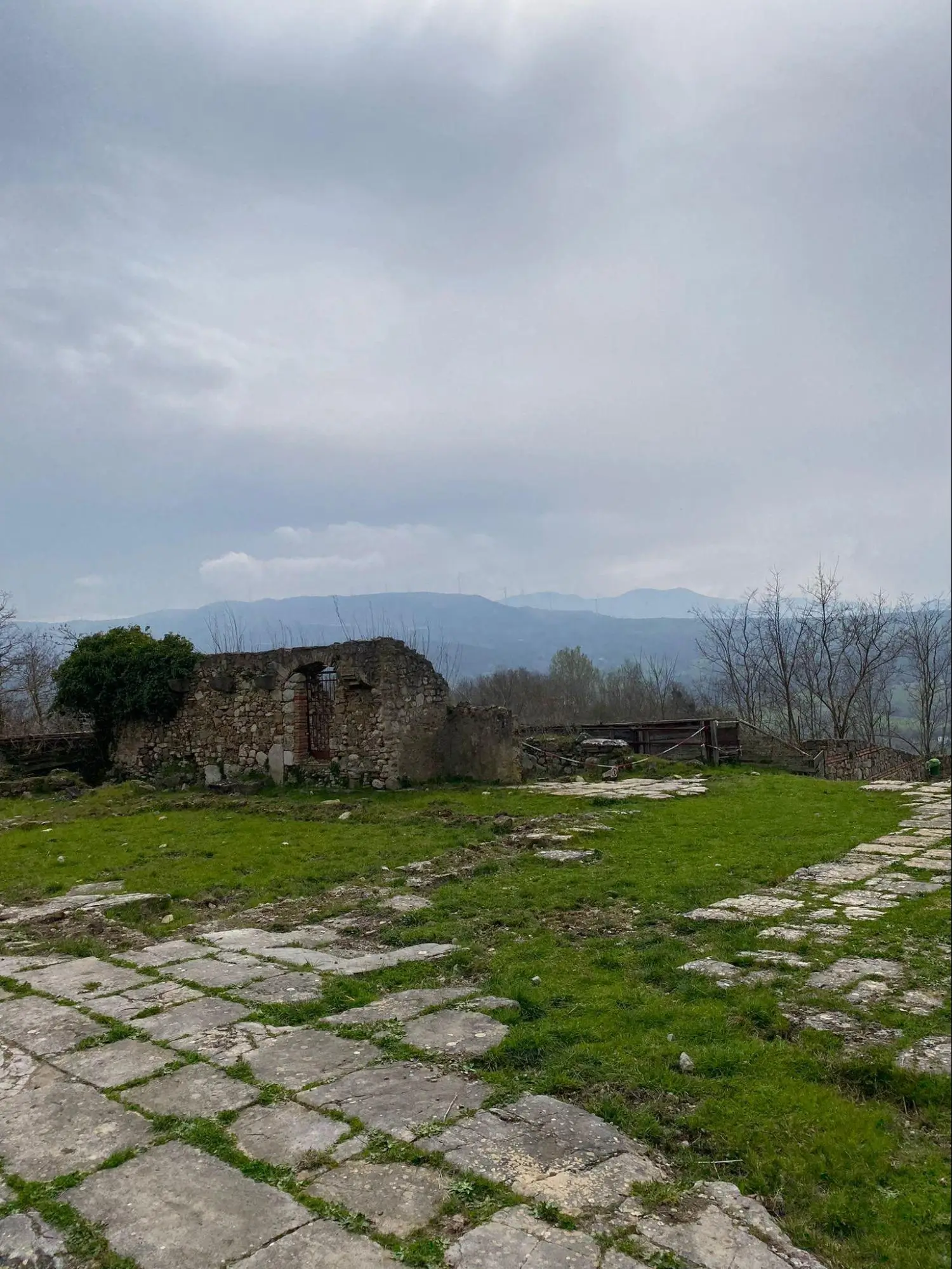 L’area del Foro: il lastricato della piazza e le strutture degli edifici pubblici.