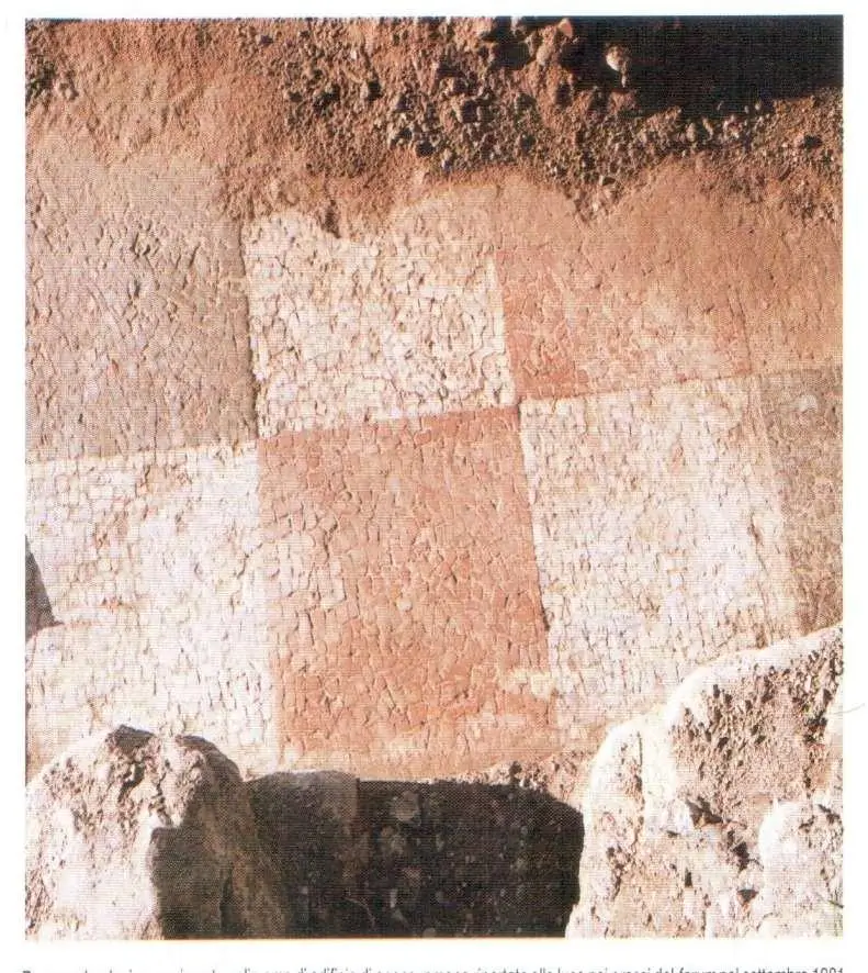 Area del Foro: pavimento policromo.