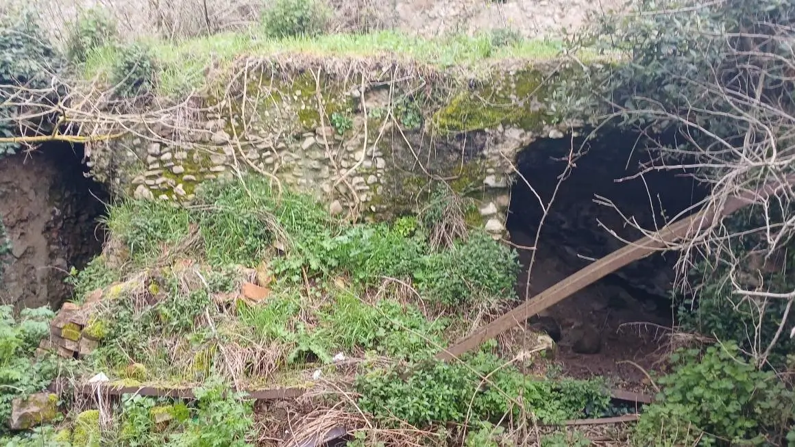 Aree sottostanti il muro in cocciopesto che delimita un lato perimetrale del Foro.