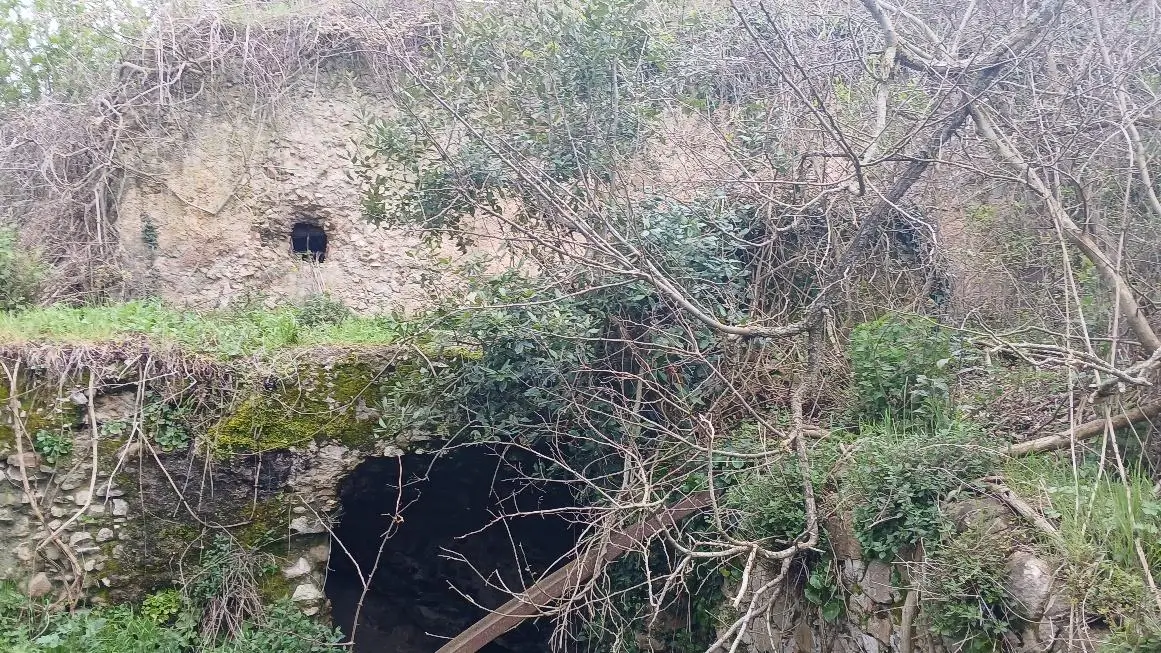 Aree sottostanti il muro in cocciopesto che delimita un lato perimetrale del Foro.