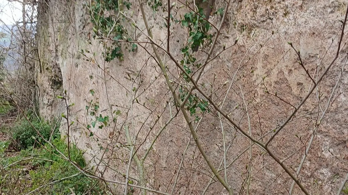 Il muro in cocciopesto che delimita un lato perimetrale del Foro.